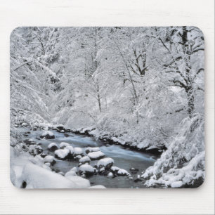 Snowy white creek scenic, Oregon Mouse Mat