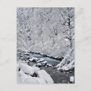 Snowy white creek scenic, Oregon Postcard