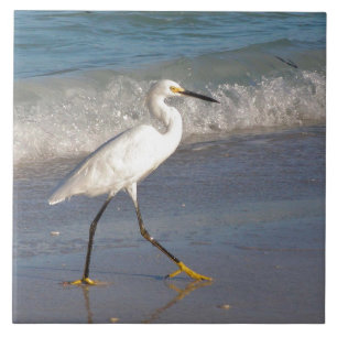 Snowy White Egret Tile