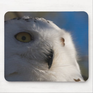 Snowy White Owl Mouse Mat