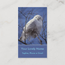 Snowy White Owl, White Arctic Bird, Sapphire Sky