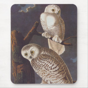 Snowy White Owls on a Dark Scary Night by Audubon Mouse Mat