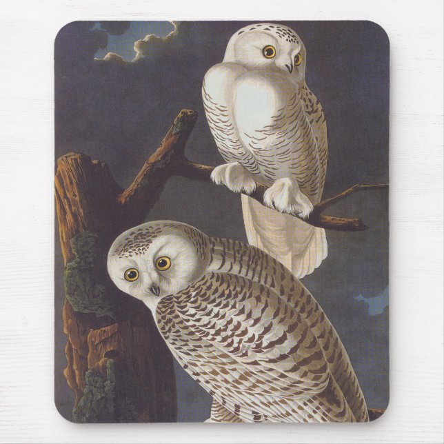 Snowy White Owls on a Dark Scary Night by Audubon Mouse Mat (Front)
