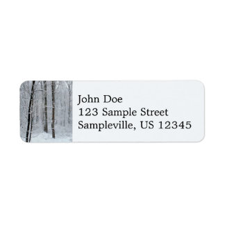 Snowy White Poplar Forest