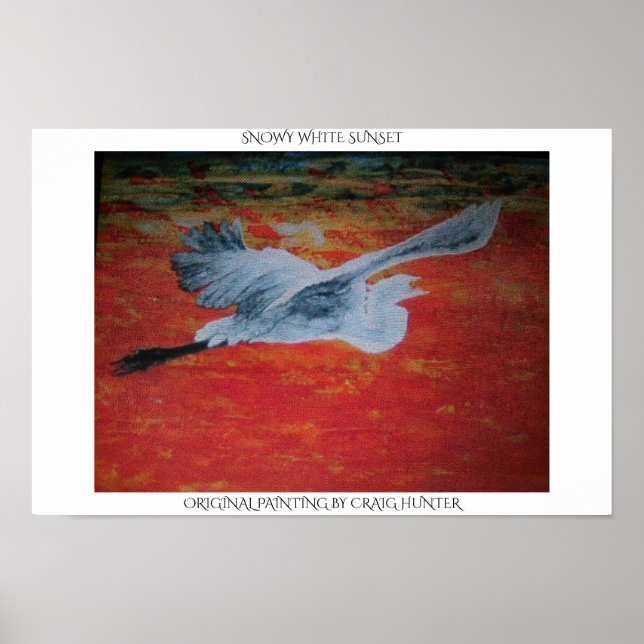 Snowy white sunset poster (Front)