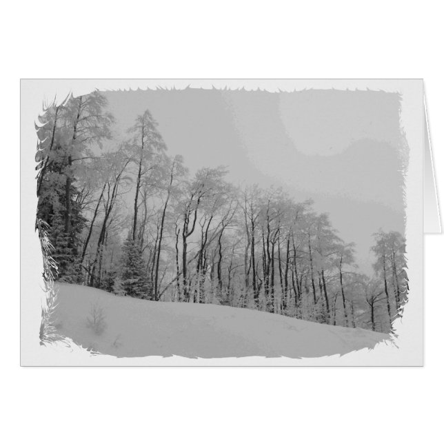 Snowy White Tips (Front Horizontal)