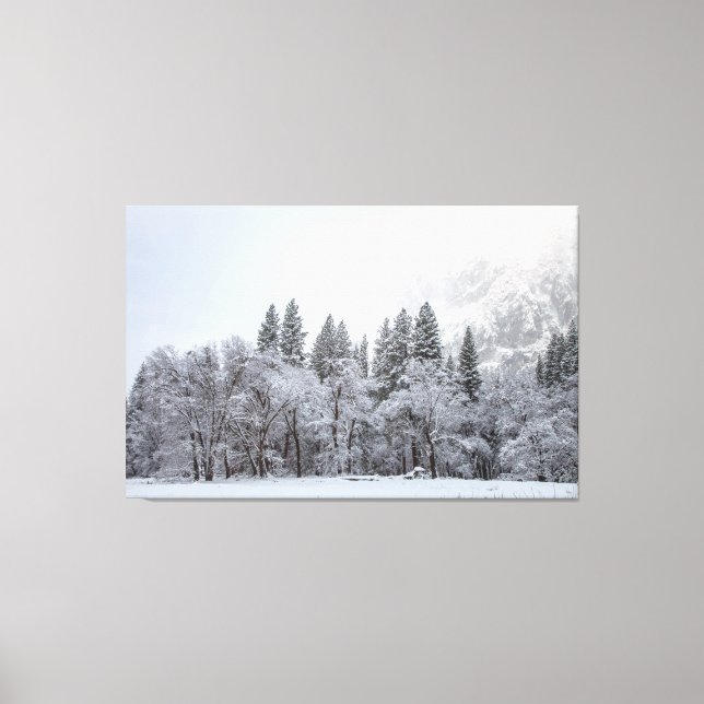 Snowy Winter Canvas Print (Front)