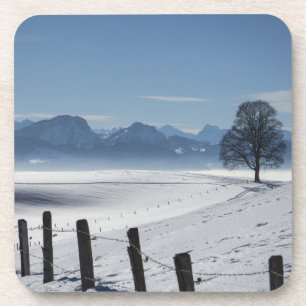Snowy Winter Countryside Landscape Photo Coaster