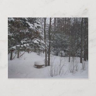 Snowy Winter Day Postcard