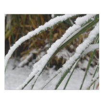Snowy Winter Fern Faux Wrapped Canvas Medium