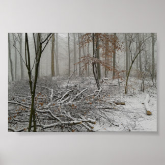 Snowy Winter Forest Poster
