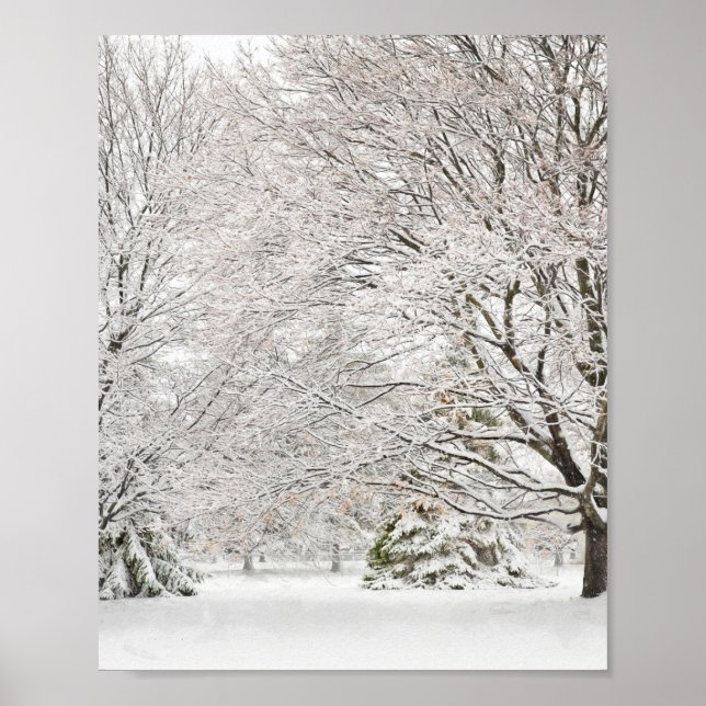 Snowy Winter Forest Poster (Front)
