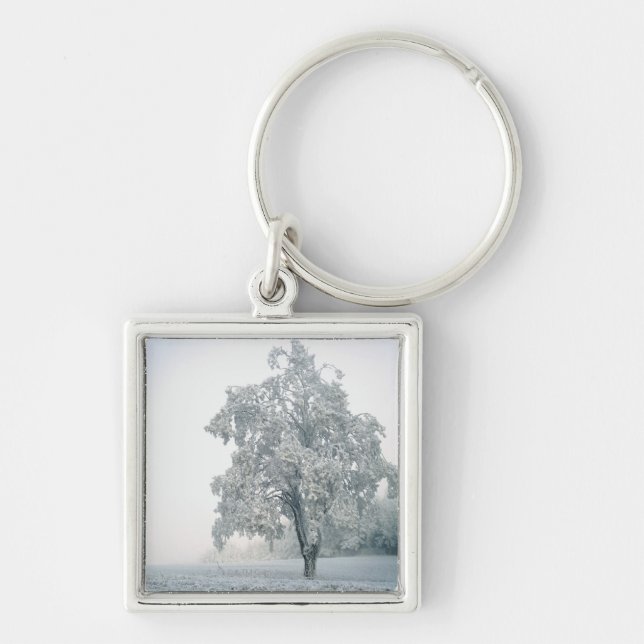 Snowy winter landscape key ring (Front)