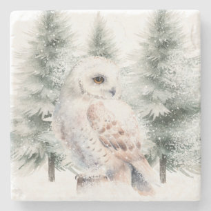 Snowy Winter Owl in Evergreen Trees Stone Coaster