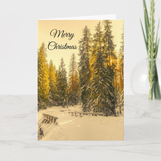 Snowy Winter Path with Pine Trees Christmas Card (Front)