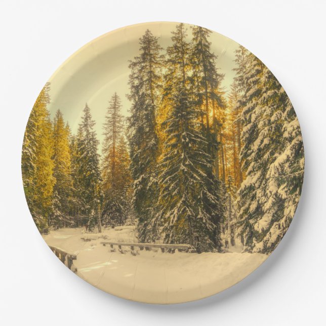 Snowy Winter Path with Pine Trees Paper Plate (Front)