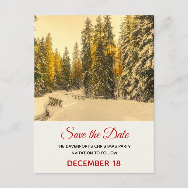 Snowy Winter Path with Pine Trees Save the Date Invitation Postcard (Front)