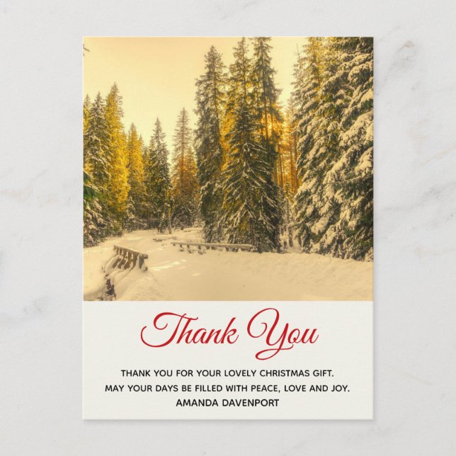 Snowy Winter Path with Pine Trees Thank You Postcard (Front)