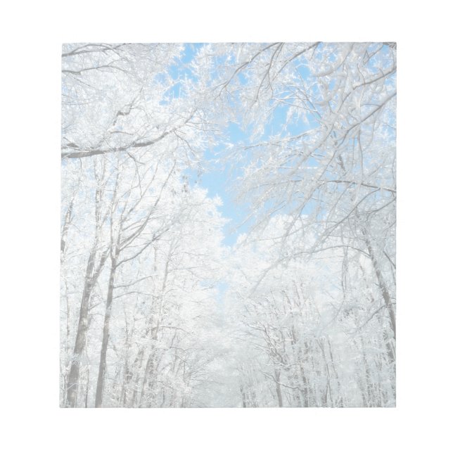 Snowy Winter Road Scene Notepad (Front)