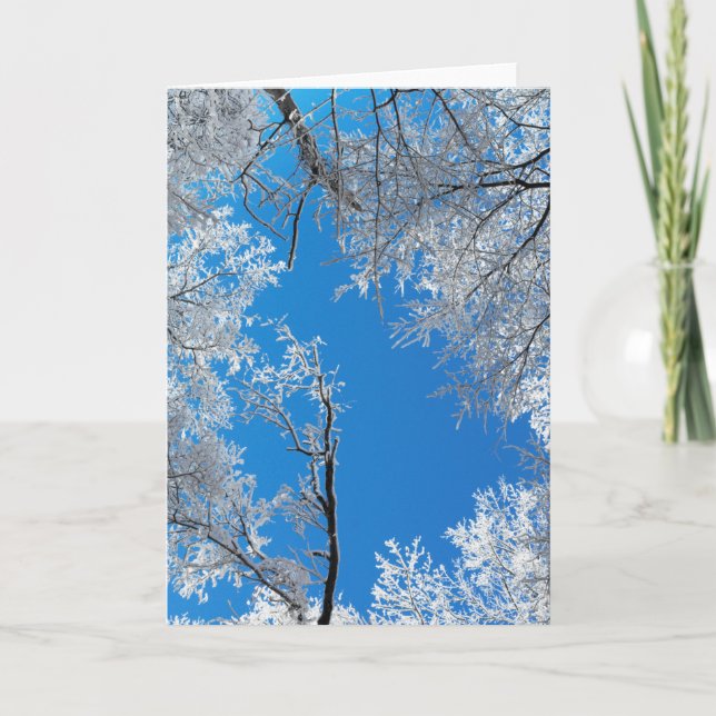 Snowy Winter Scene Holiday Card (Front)