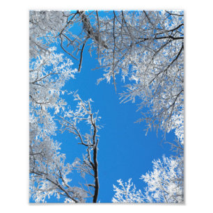 Snowy Winter Scene Photo Print