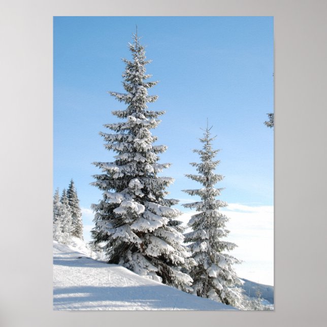 Snowy Winter Scene with Christmas Trees Poster (Front)