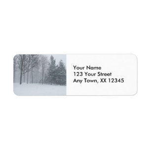 Snowy Winter , Snow on Trees In The Woods Scene