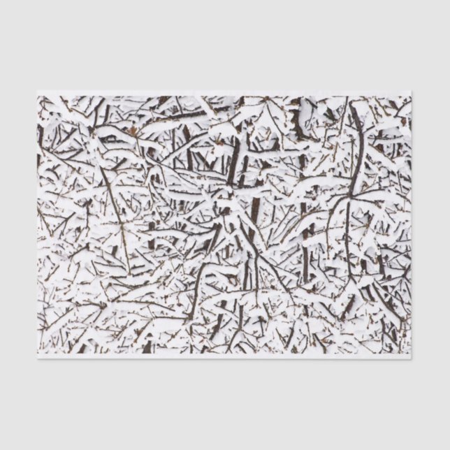 Snowy Wintry Trees Tissue Paper (Front)