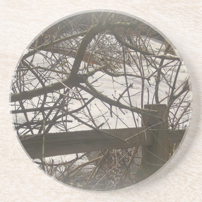 Snowy Woods Coaster (Front)