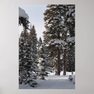 Snowy Woods Poster