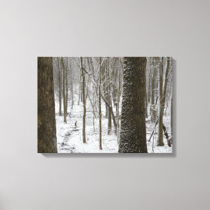 Snowy Woods Scene Canvas Print