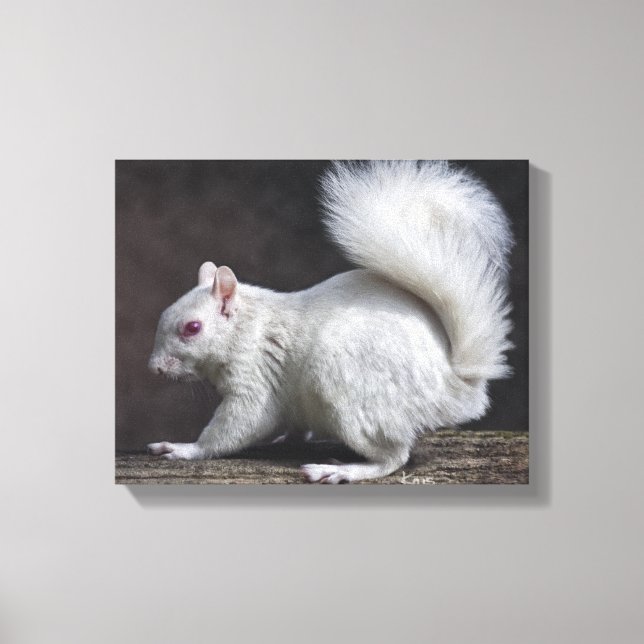 Snowy Wrapped Canvas Print (Front)