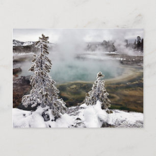 Snowy Yellowstone Postcard