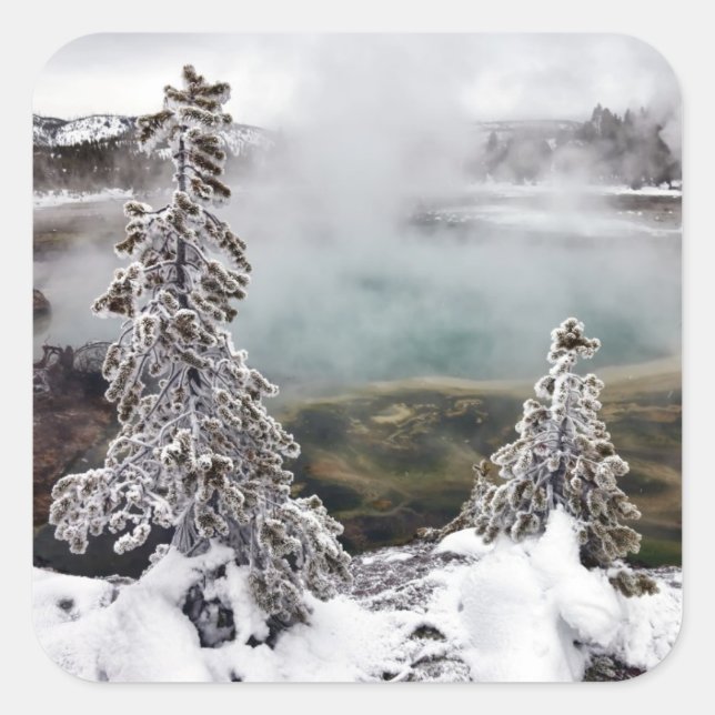 Snowy Yellowstone Square Sticker (Front)