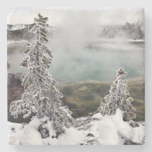 Snowy Yellowstone Stone Coaster