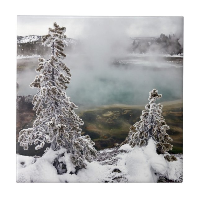 Snowy Yellowstone Tile (Front)