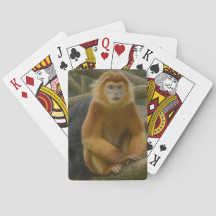 Snub-Nosed Monkey in Woodland Refuge Playing Cards