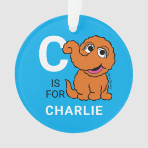 Snuffleupagus Personalised Name with Photo Ornament