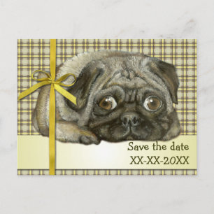 Snug pug announcement postcard