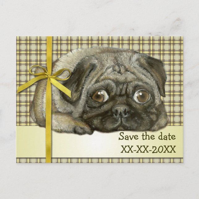 Snug pug announcement postcard (Front)
