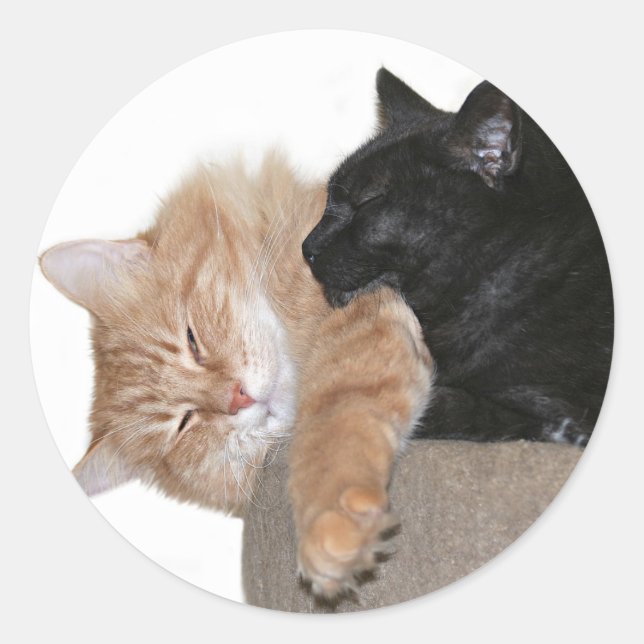 Snuggle buddies classic round sticker (Front)