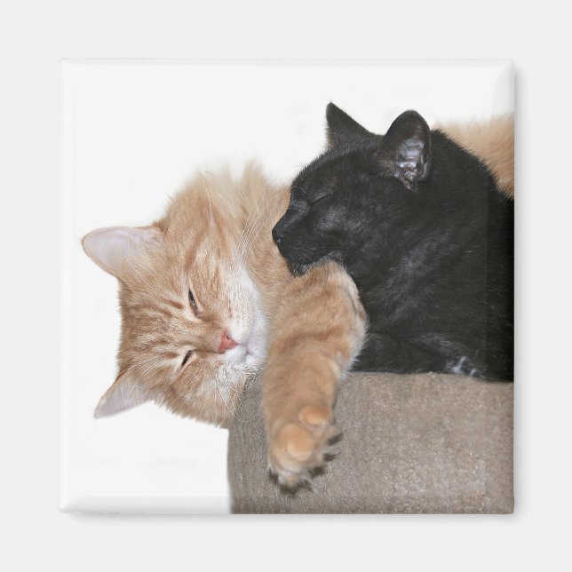 Snuggle buddies magnet (Front)