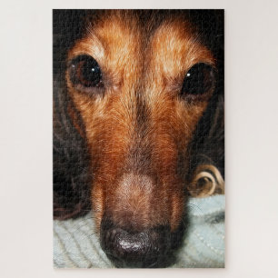 Snuggle Bugs MacKenzie Jigsaw Puzzle