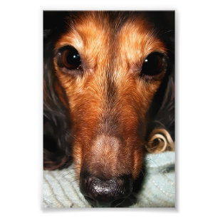 Snuggle Bugs Mackenzie Photo Print