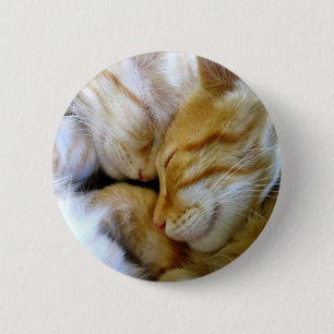 Snuggle Kittens Button