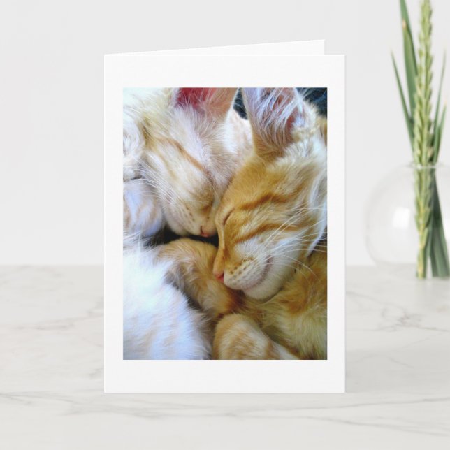 Snuggle Kittens Card (Front)