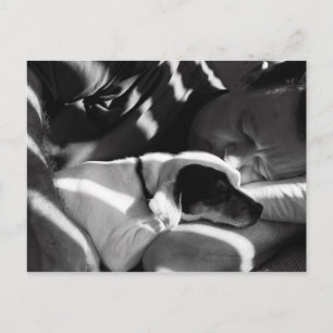 Snuggle Postcard