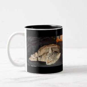 Snuggle Time For Indigo Two-Tone Coffee Mug