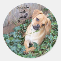 Snuggle w/ur Puggle Sticker