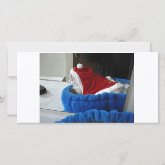 Snuggler is Santa Paws Holiday Card (Front)